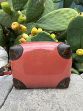 Louis Vuitton Venice Handbag