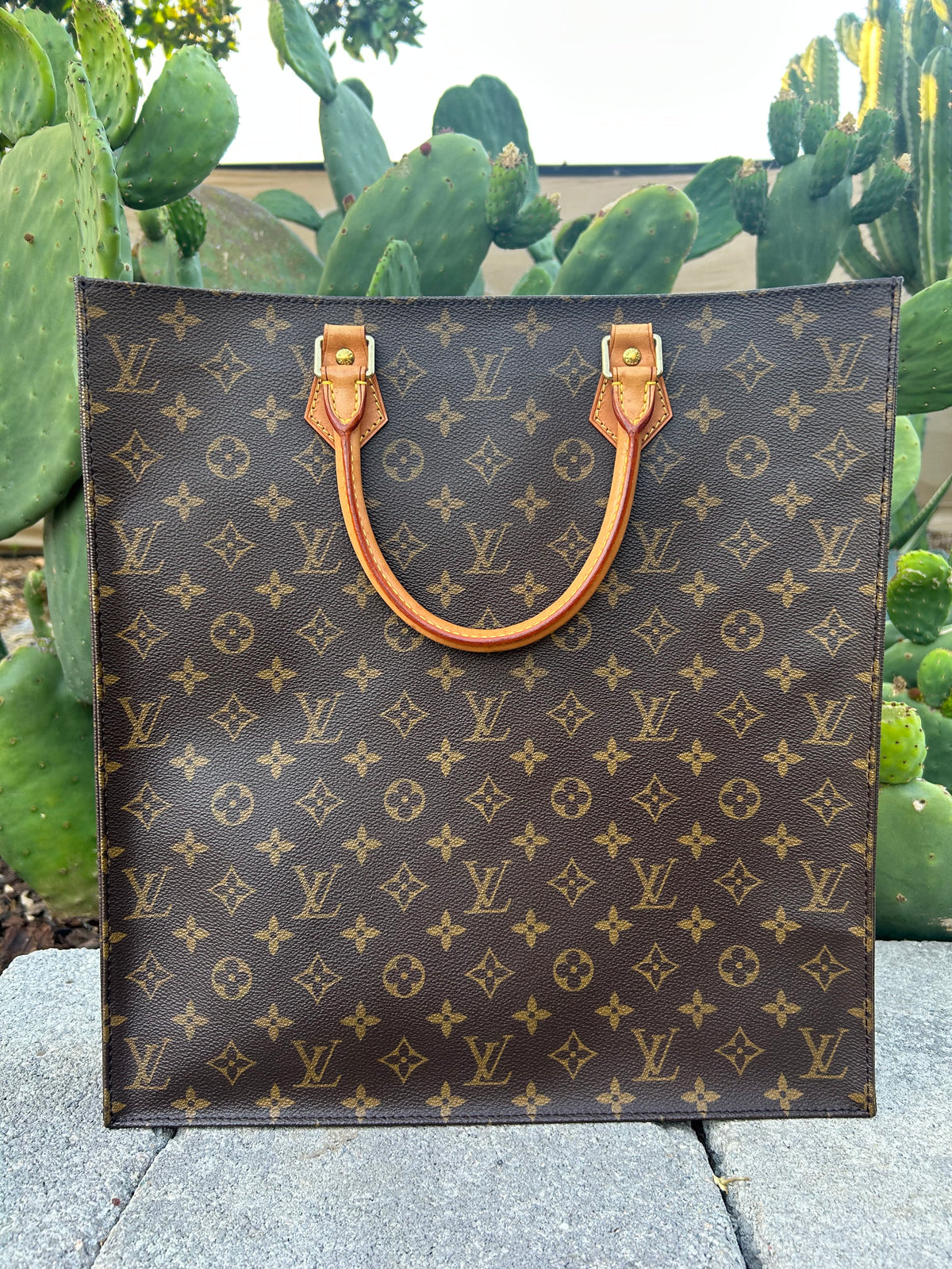 Louis Vuitton Sac Bag