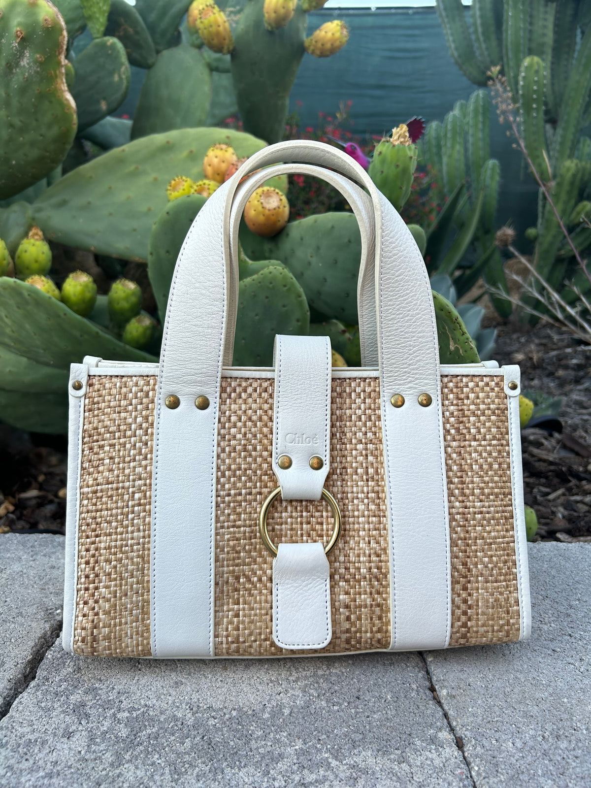 Chloe Mini Tote