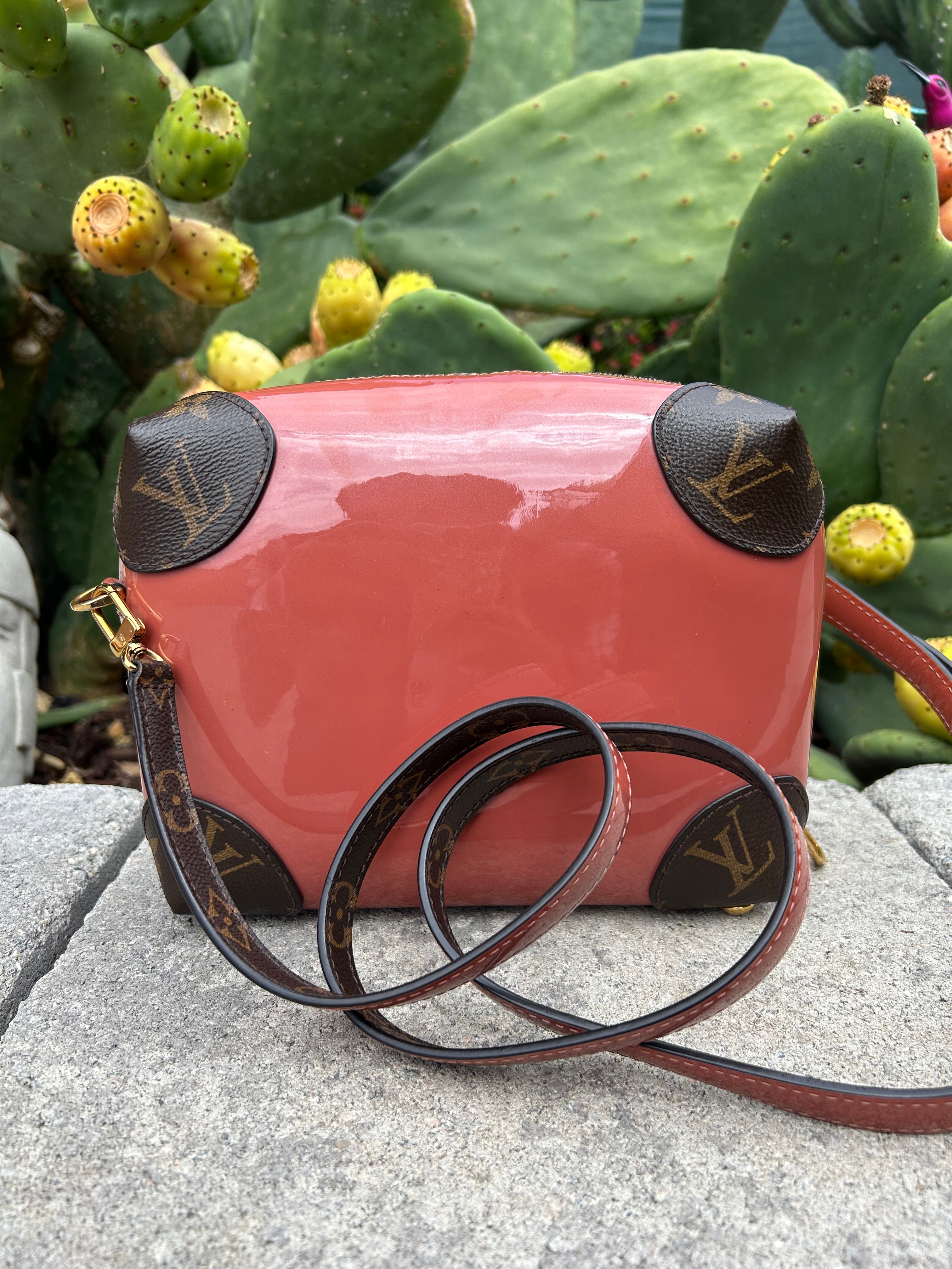 Louis Vuitton Venice Handbag