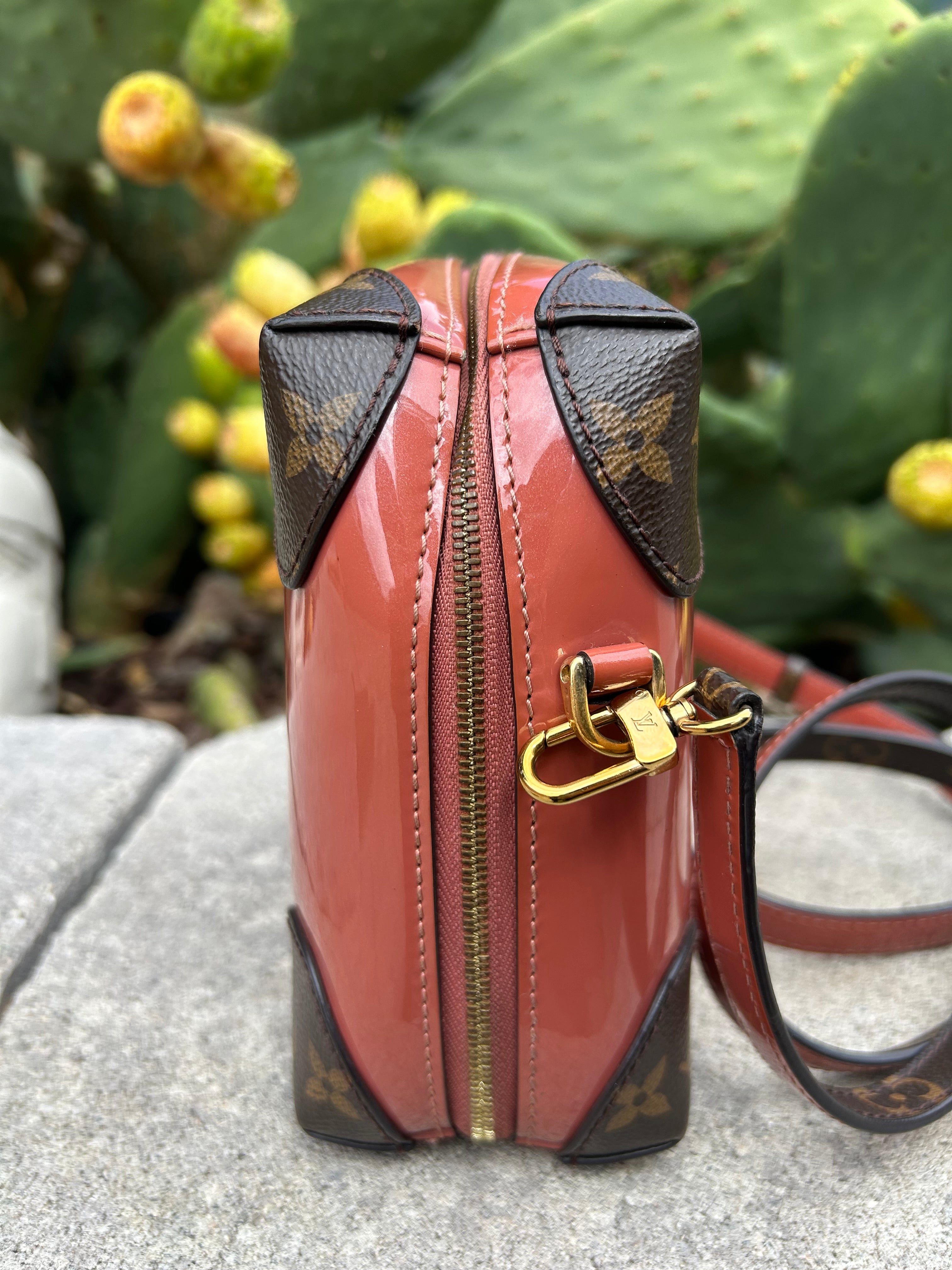Louis Vuitton Venice Handbag
