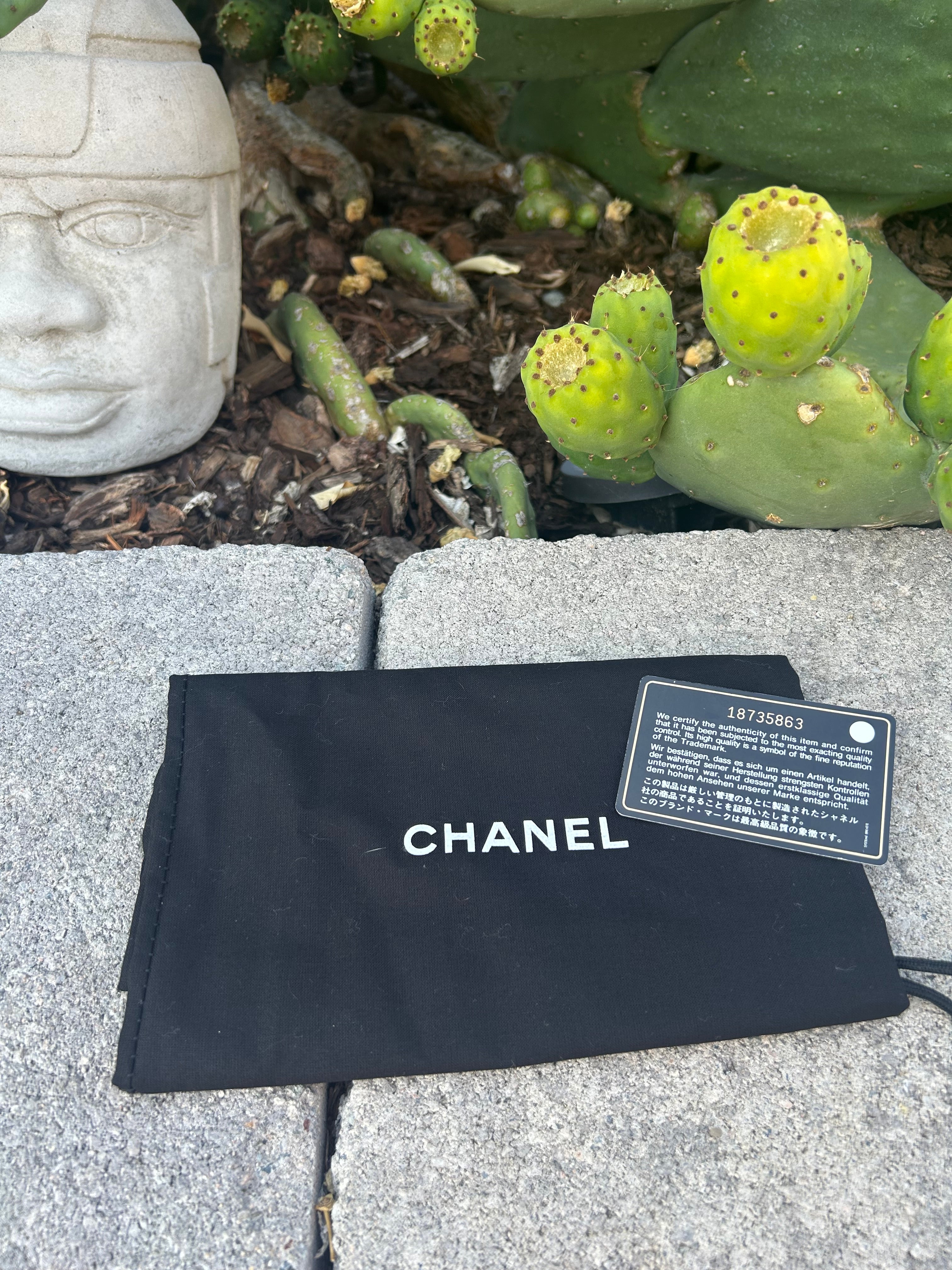 Chanel Diamond Quilted WOC