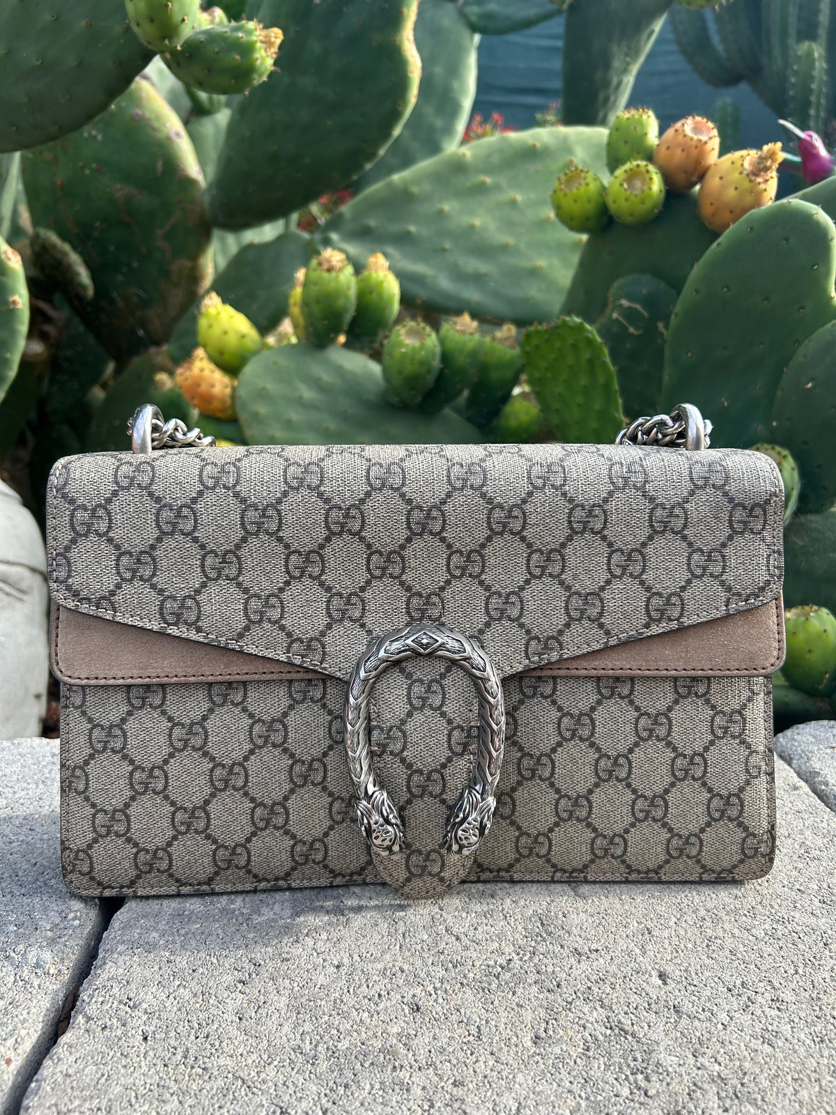 Gucci GG Dionysus Handbag