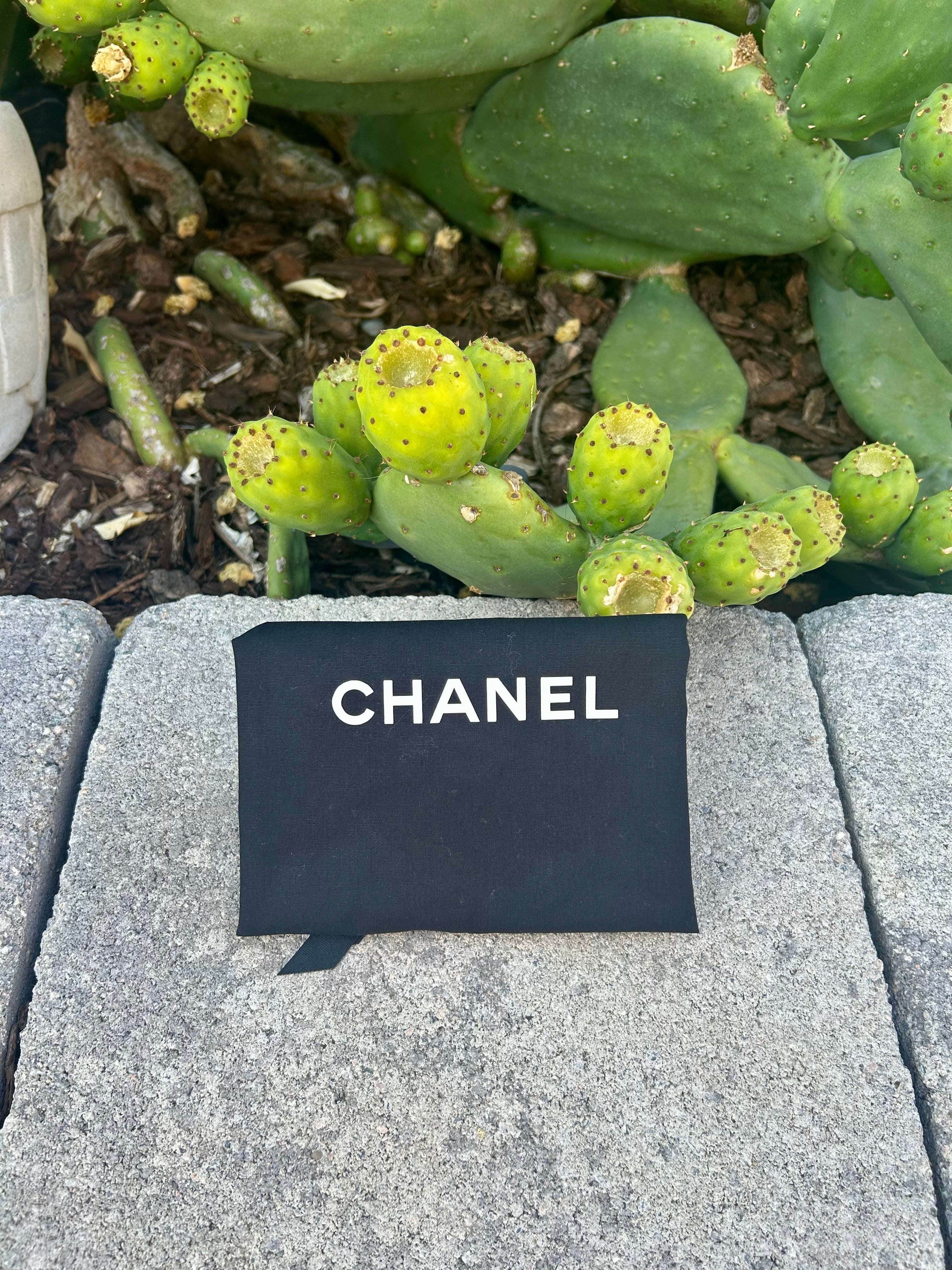 Chanel Caviar Leather Boy WOC