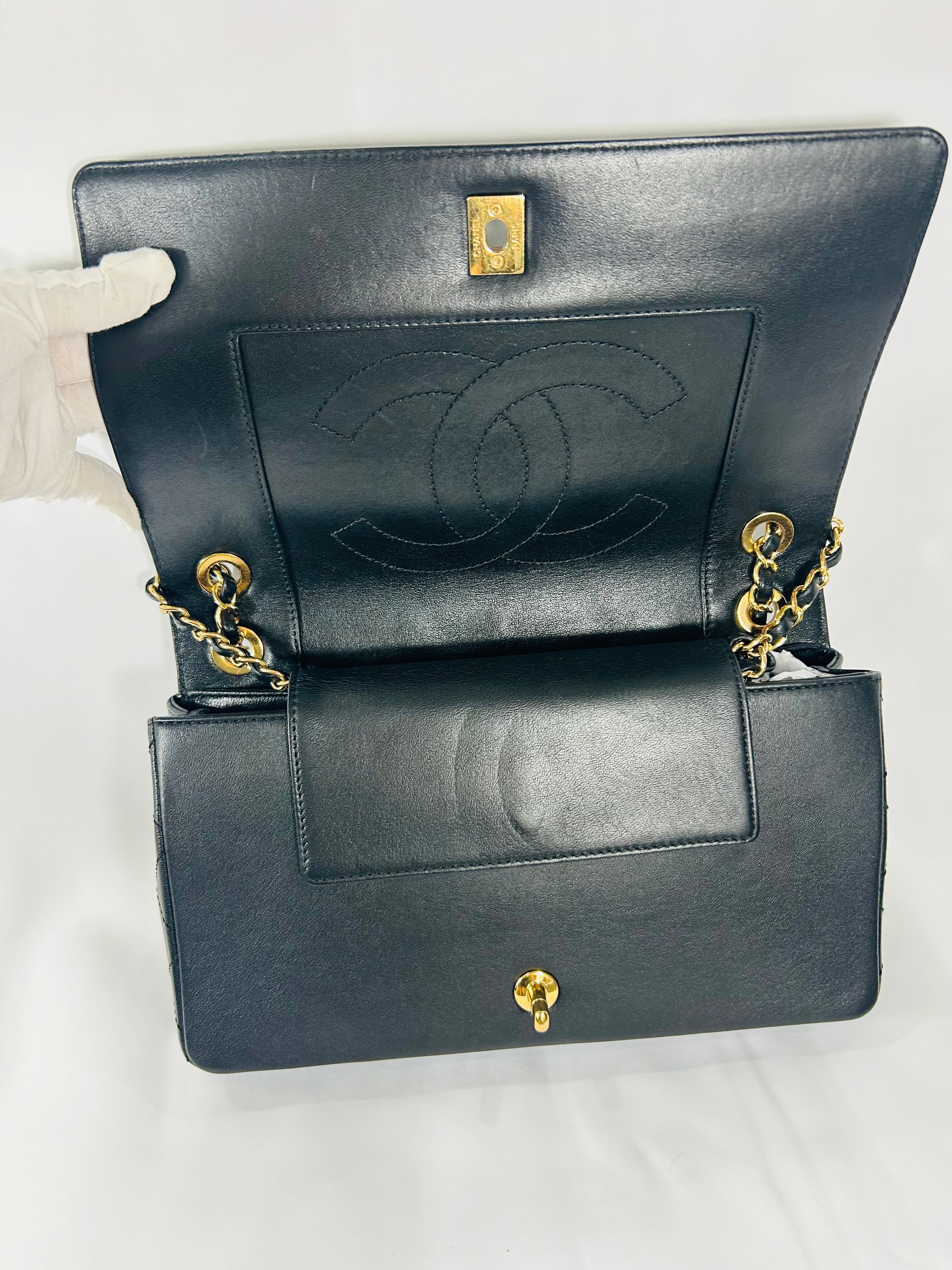 Chanel Diana Double Flap Handbag