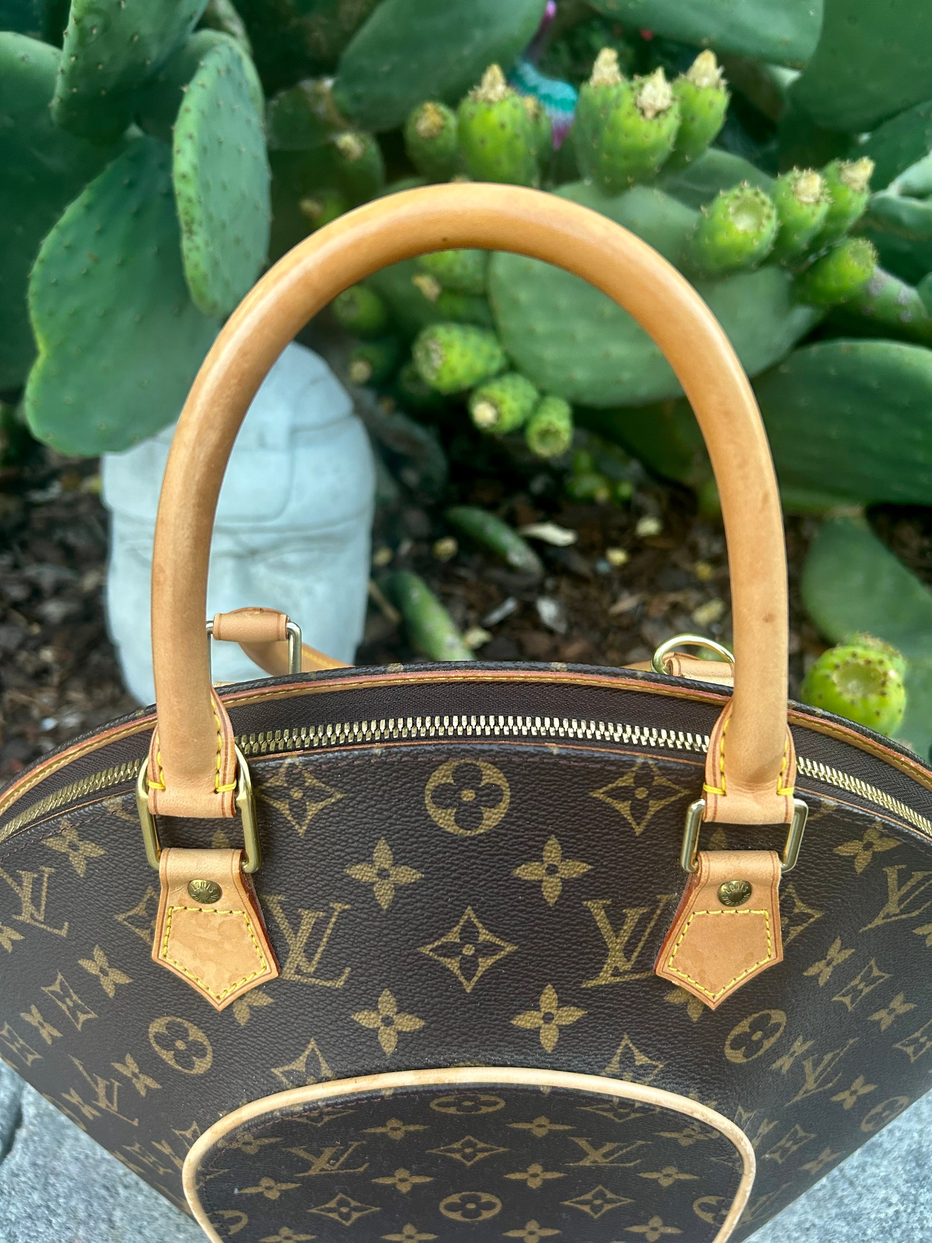 Louis Vuitton Monogram Ellipse