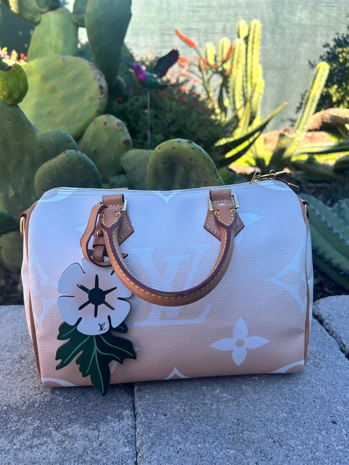 Louis Vuitton Speedy Bandouliere By The Pool