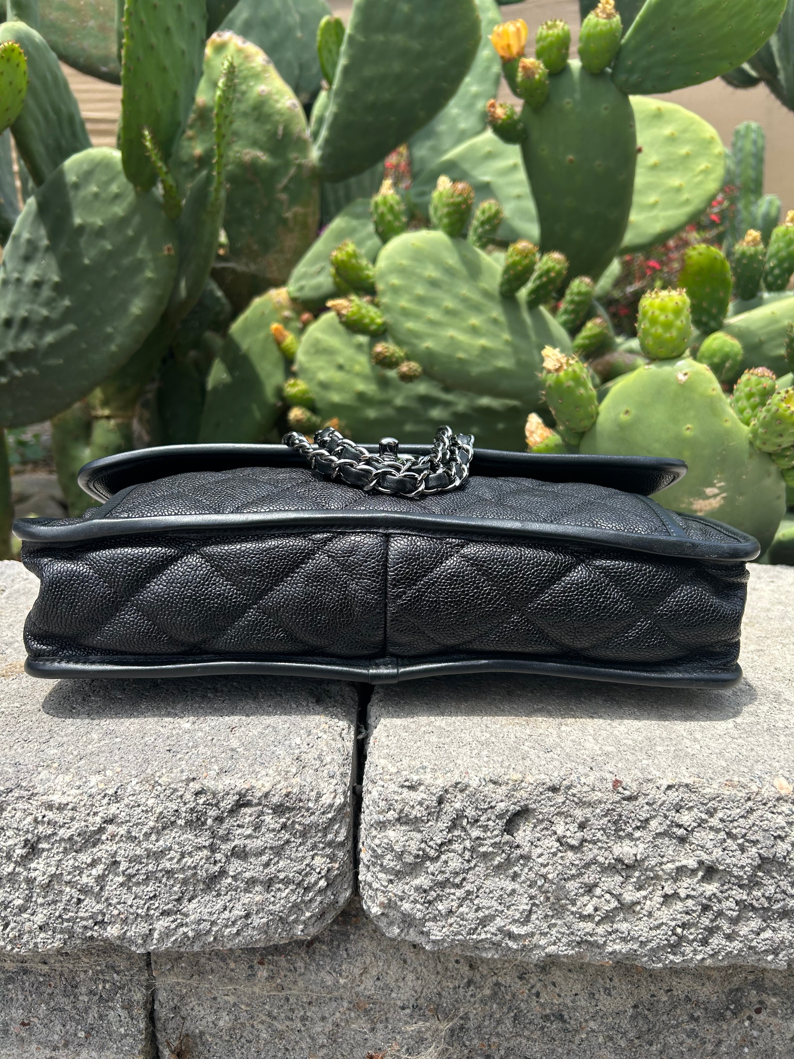 Chanel French Riviera Quilted Caviar Flap Bag