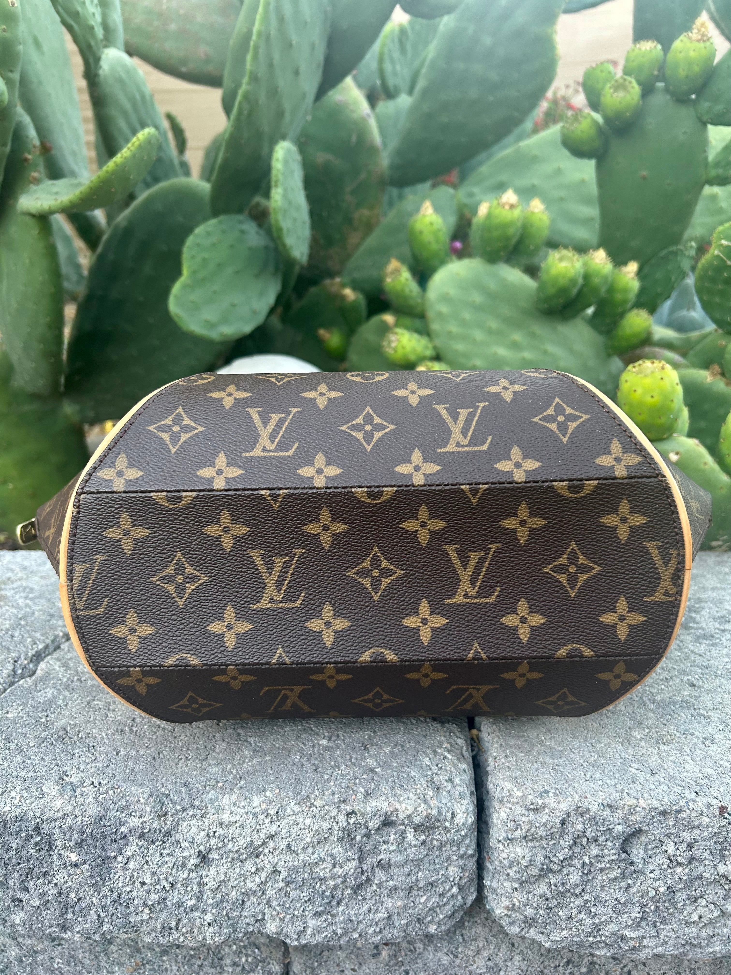 Louis Vuitton Monogram Ellipse