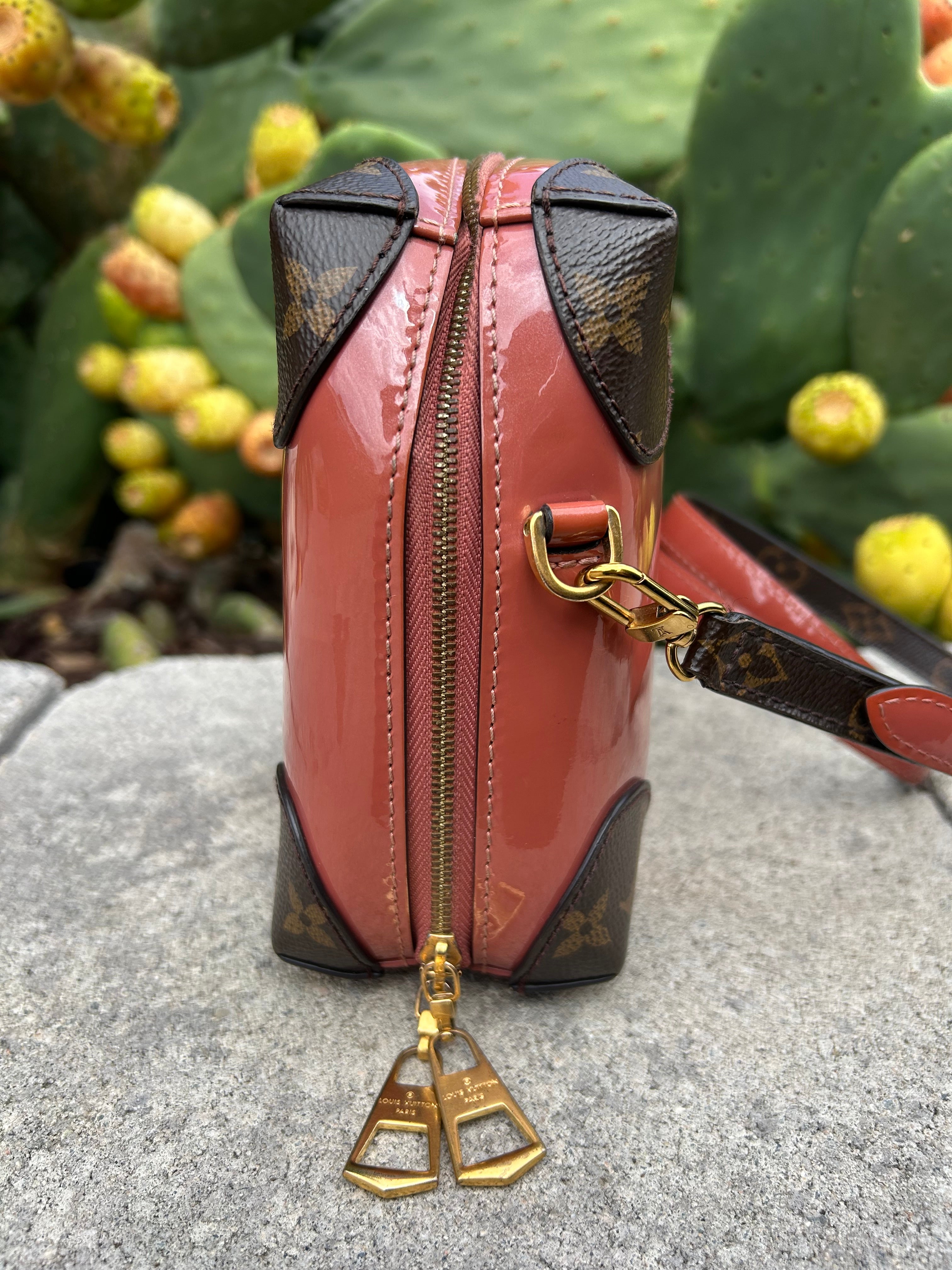 Louis Vuitton Venice Handbag