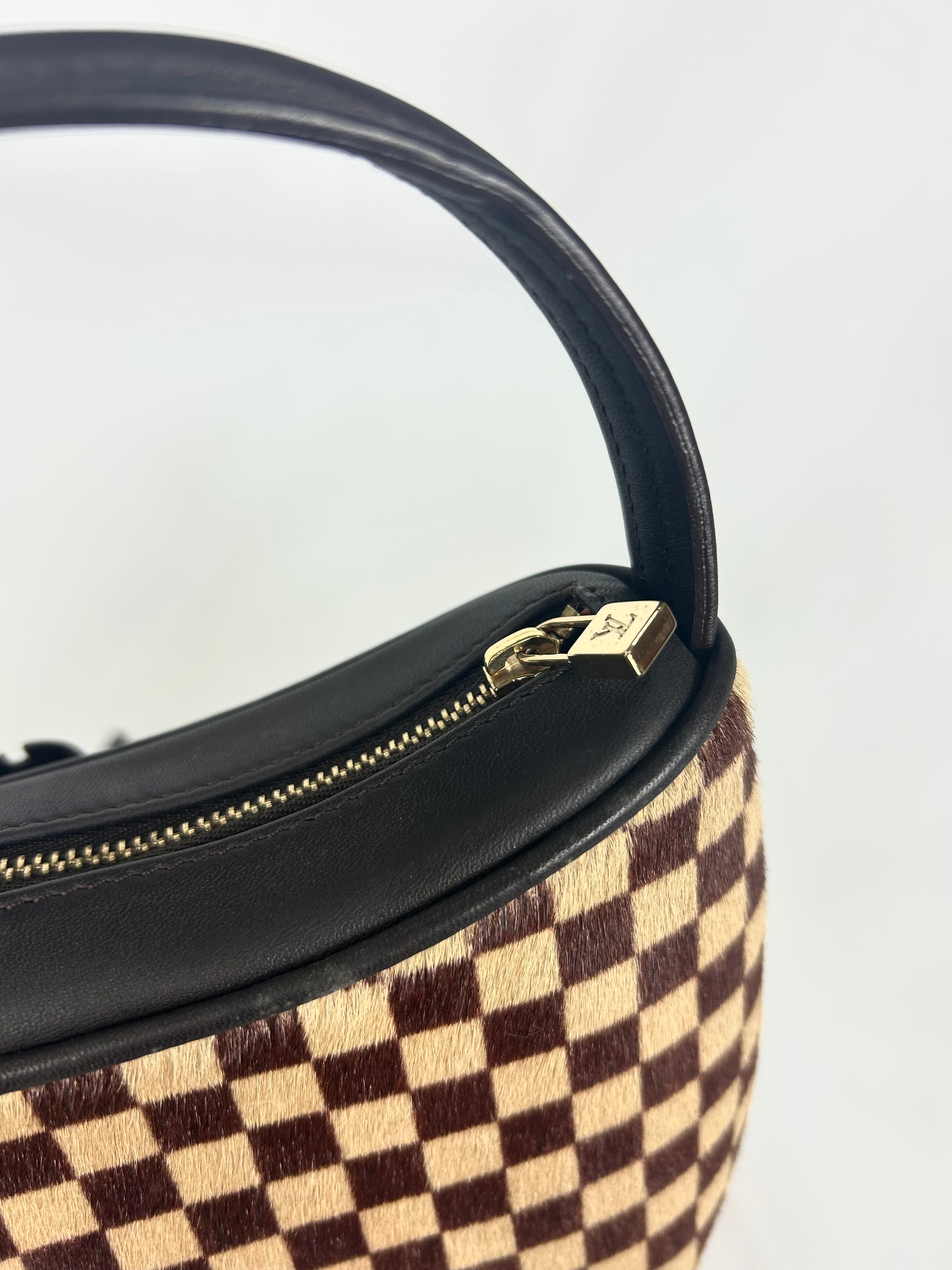 Louis Vuitton Pony Hair Damier Handbag